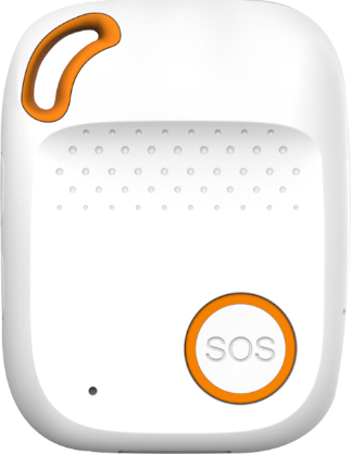 Eview GPS EV-04